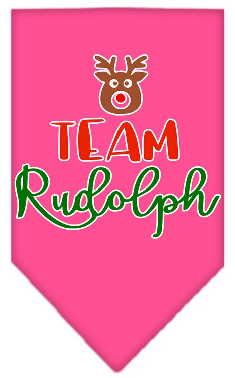 Team Rudolph Screen Print Bandana Bright Pink Large